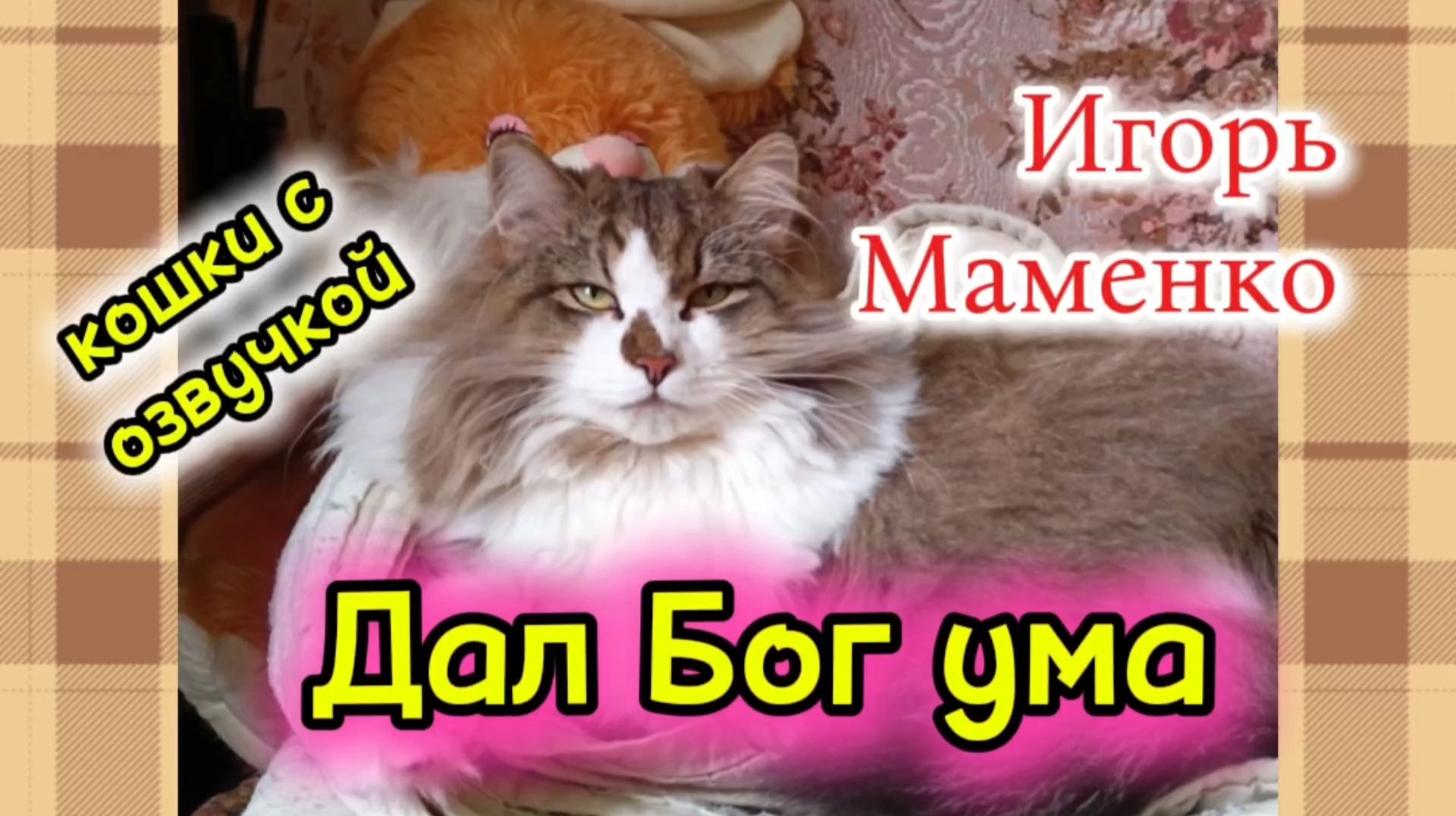 КОШКИ С ОЗВУЧКОЙ. смотреть онлайн