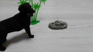 Умоляю пишите вопросы на вопрос ответ и вызавы на вызов принят .