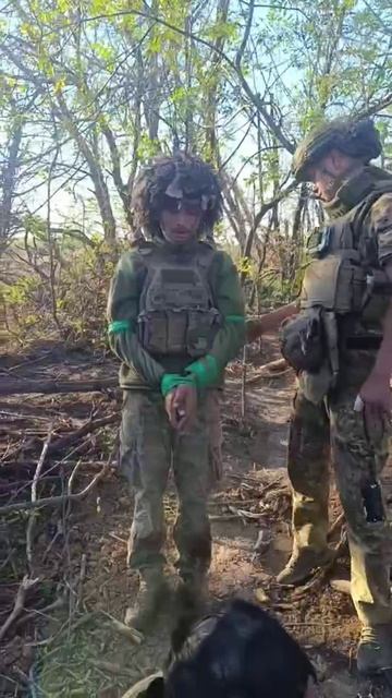 Перепленение!!Русский боец взял в плен свина пленного предварительно им самим . смотреть онлайн