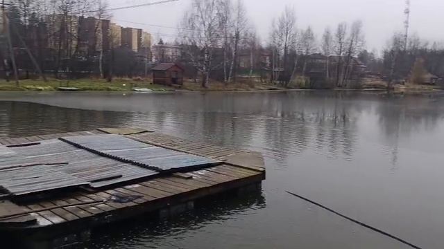 Светлые Горы 24.11.2025г. смотреть онлайн