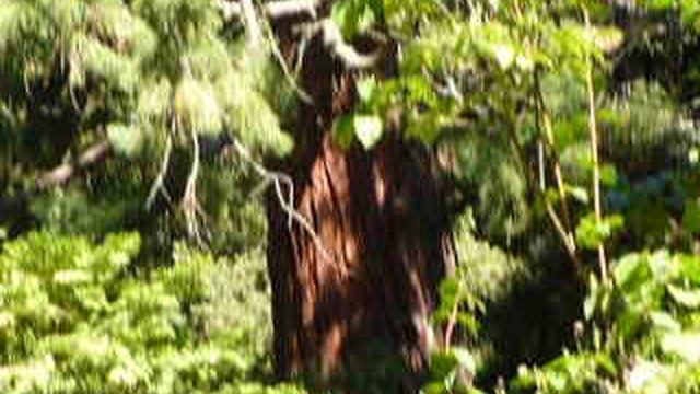 P1010530 смотреть онлайн