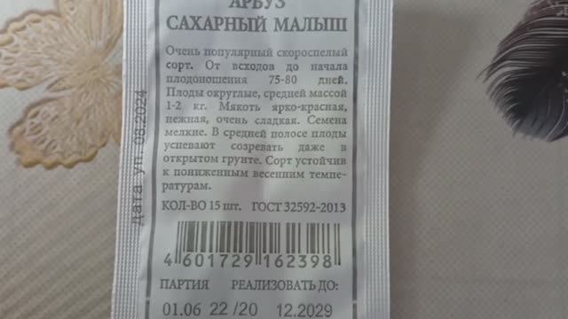 Арбуз «Сахарный малыш» — ультраранний сорт с компактными плодами смотреть онлайн