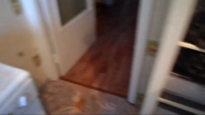 В. Железов ''Новое садоводство для дачников и школьных учителей будущей России'' №21