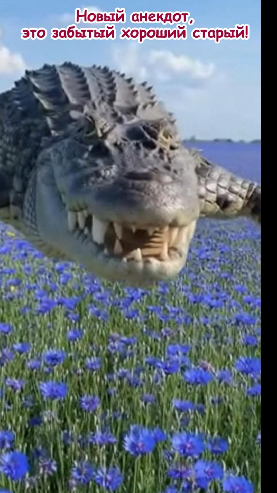 Новый анекдот, это забытый старый!