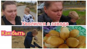 Муж уволился с работы/на что потратили деньги/собираем грибы