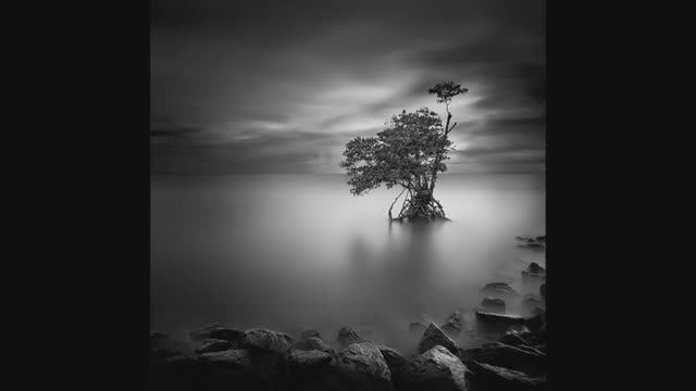 Знакомство с творчеством Уилл Ли смотреть онлайн