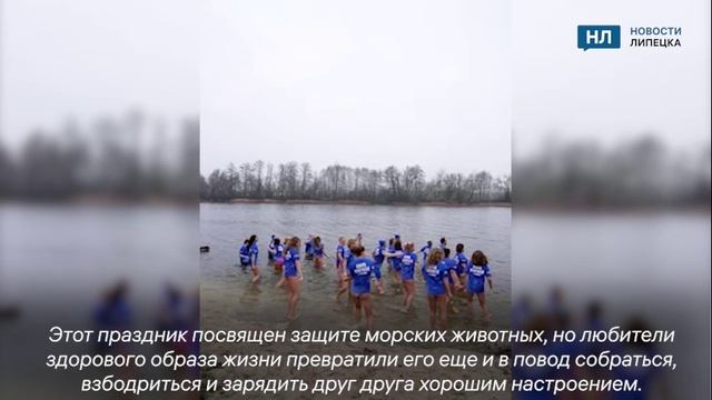 Липецкие моржи зажгли в ледяной воде и запустили флешмоб смотреть онлайн