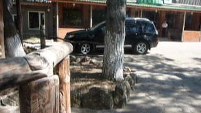 P1020004 смотреть онлайн