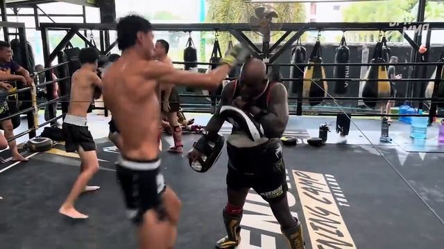 Что Ты Такое? Новый Убийца в Муай Тай - Набиль Анан смотреть онлайн