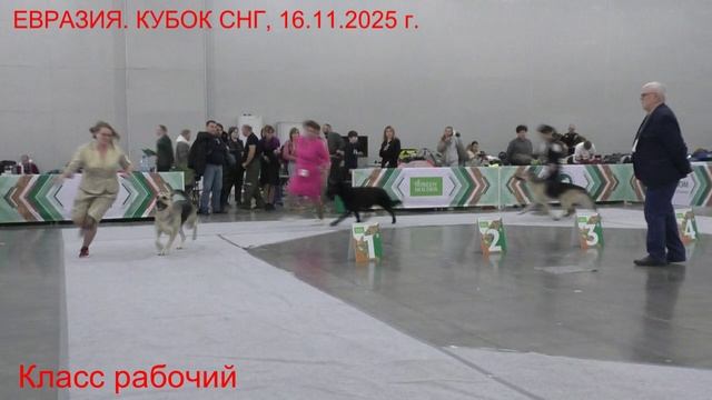 Класс рабочий смотреть онлайн
