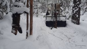 СЕГОДНЯ МНОГО БЕЛОК.