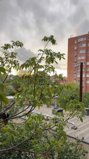 Вид с отеля в Дубаях