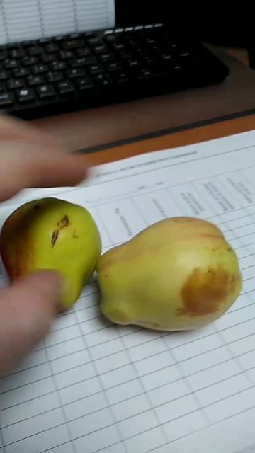 Висит груша? смотреть онлайн