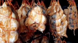 Зубатка стейк горячего копчения