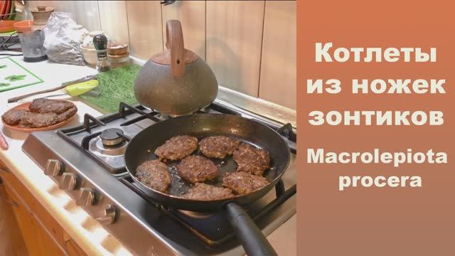 Котлеты из ножек зонтиков. Macrolepiota procera . смотреть онлайн