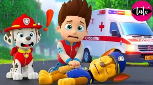 Что случилось С ЧЕЙЗОМ?! РАЙДЕР, Пожалуйста, Помогите!! | 3D Анимация Щенячий Патруль