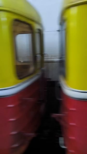 Поезд Синергия-2