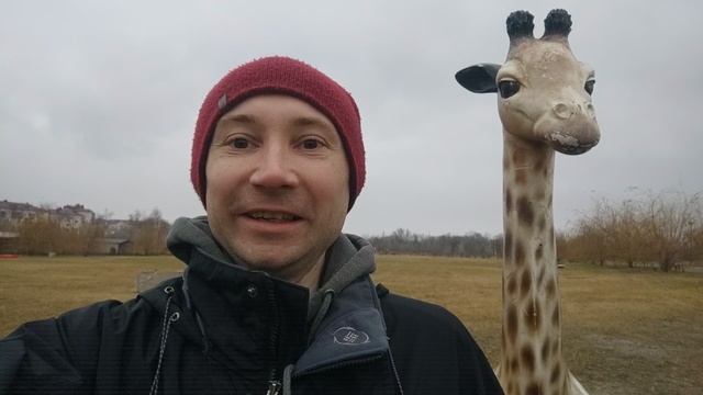 Рафик жирафик желает Хорошего дня и настроения) смотреть онлайн