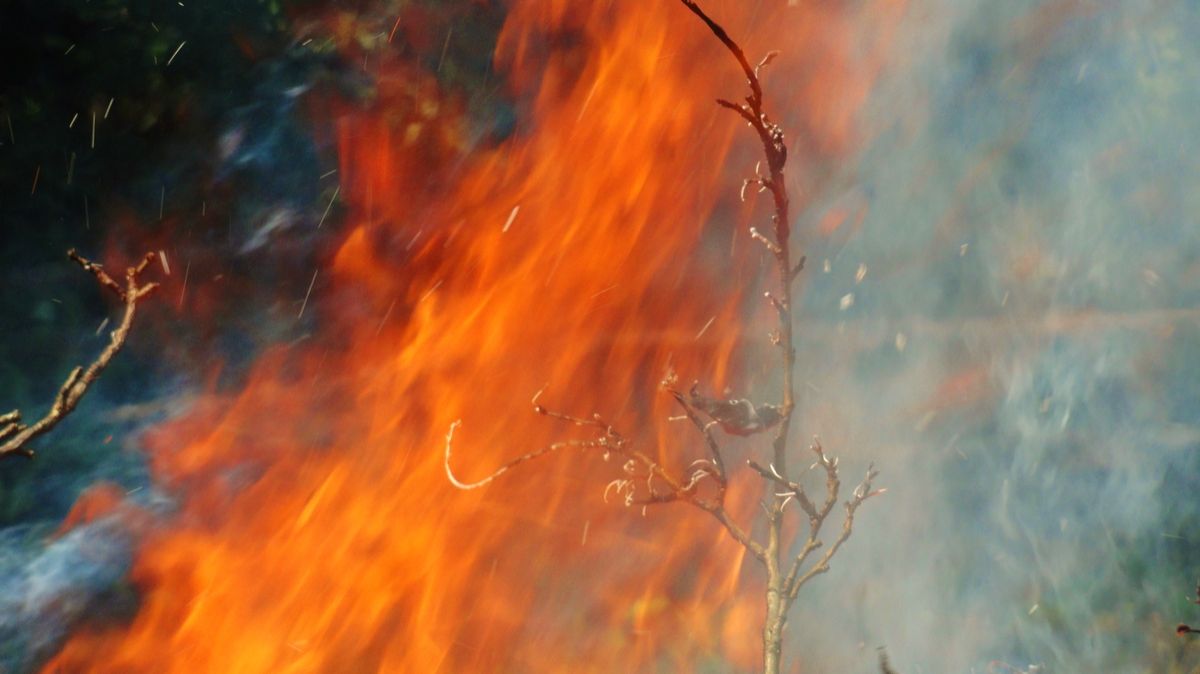 У костра смотреть онлайн