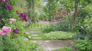 САМЫЕ КРАСИВЫЕ МОМЕНТЫ ЧАСТНЫХ САДОВ С  РОЗАМИ, КЛЕМАТИСАМИ И МНОГОЛЕТНИКАМИ