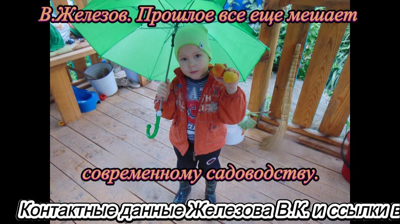В.Железов. Прошлое все еще мешает современному садоводству. смотреть онлайн