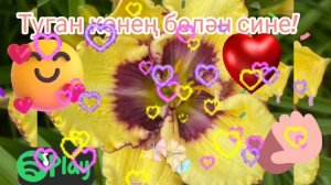 Туган көнең белән сине!Музыкальная открытка.