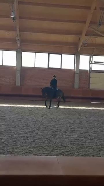 video_2025-11-25_17-10-21 смотреть онлайн