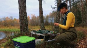 Щука на КРУЖКИ В БОЛОТЕ. ДОНКИ НА НАЛИМА. Рыбалка НА ОБРЫВЕ РЕКИ. #541