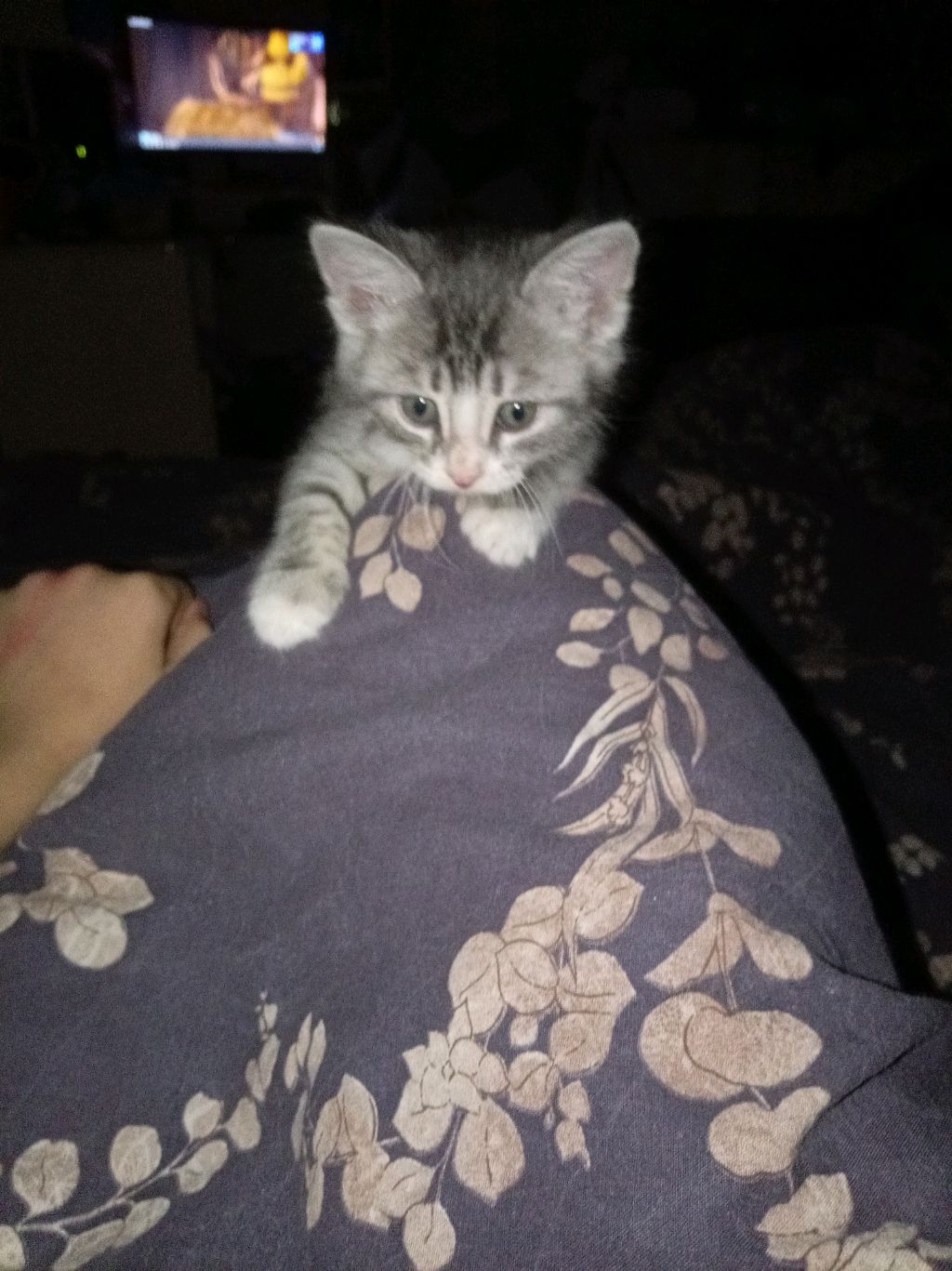 Машка смотреть онлайн
