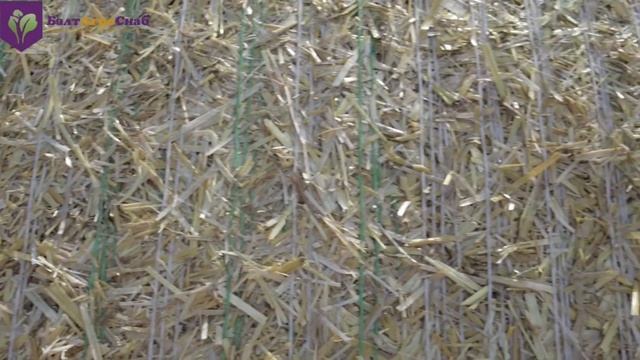 Пресс-подборщик Паскаль обзор смотреть онлайн