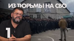 Я покинул ИСПРАВИТЕЛЬНУЮ КОЛОНИЮ заменив СРОК на СВО