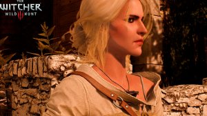 Ведьмак 3 - Выбор Трисс #17 - Пейзаж после битвы