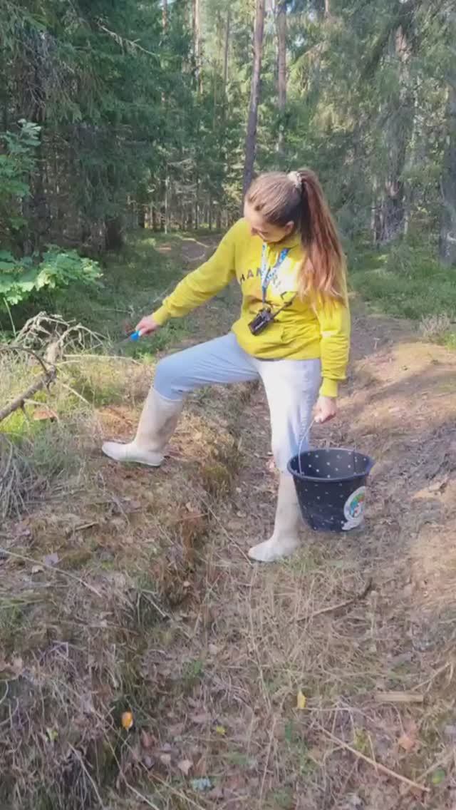 Айда с нами за грибами, БЕЛЫЕ ГРИБЫ и утро грибников смотреть онлайн