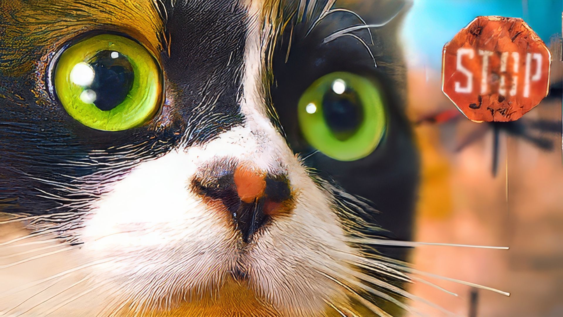 SlivkiShow в ЧЕРНОБЫЛЕ! смотреть онлайн