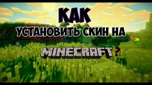 подробная инструкция по установке скина в майнкрафт Tlauncher для компьютеров