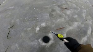 Рыбалка на Ротана. Первый лёд!