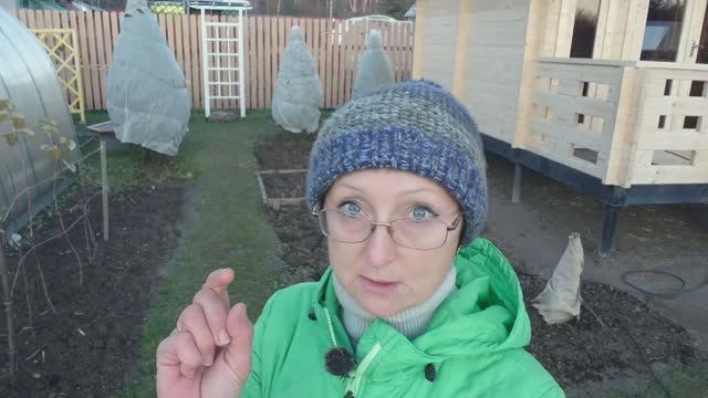 Видео привет с 6 соток 19 ноября 2025 года смотреть онлайн