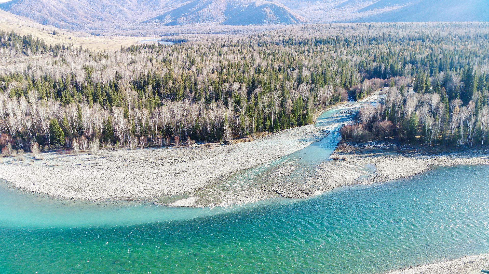 Горный-Алтай . река Кучерла смотреть онлайн