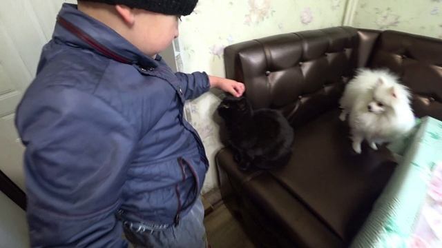 Влог от 11.10.2021 смотреть онлайн