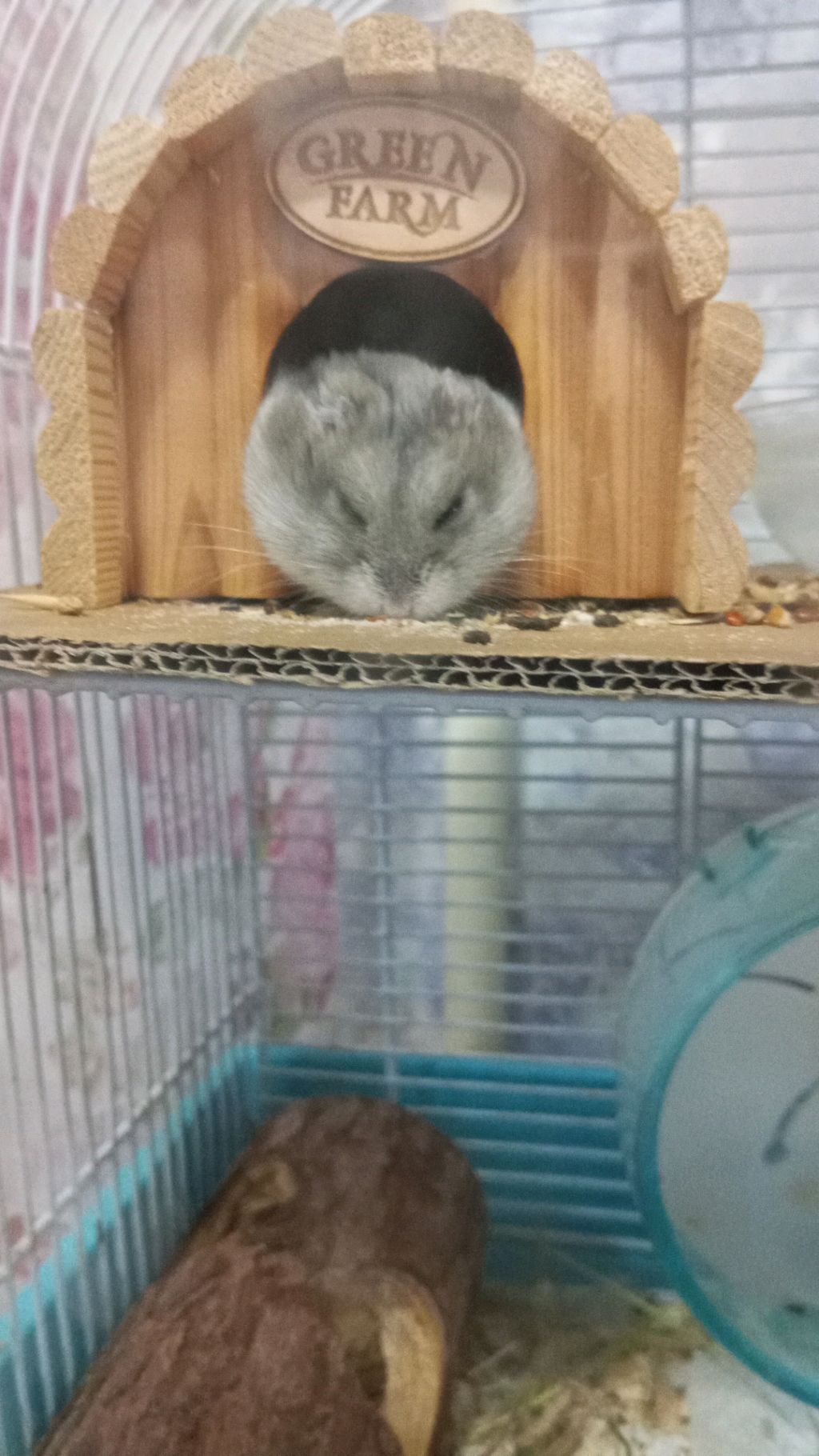 Кто в каком городе живёт