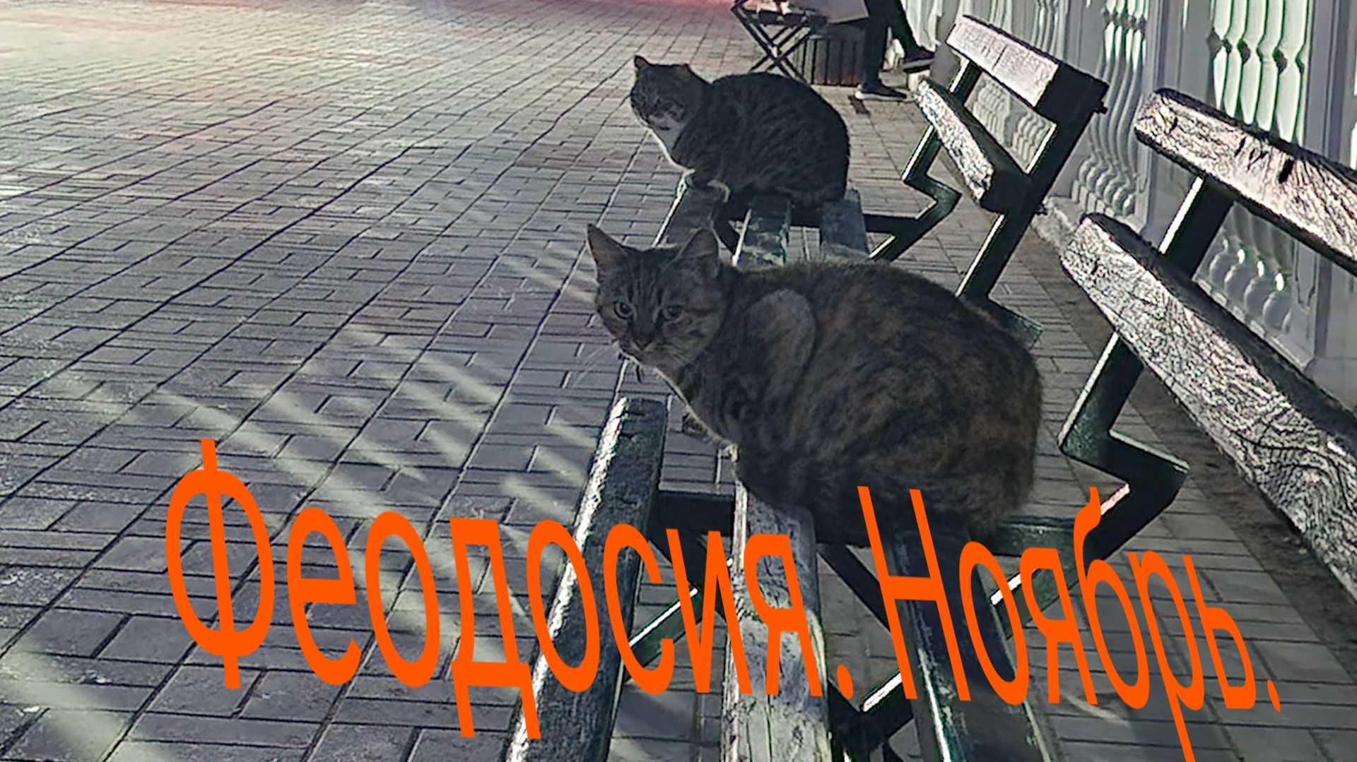 Феодосия. Ноябрь.