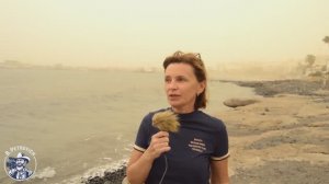 Тенерифе (зима). День четвёртый (Калима)