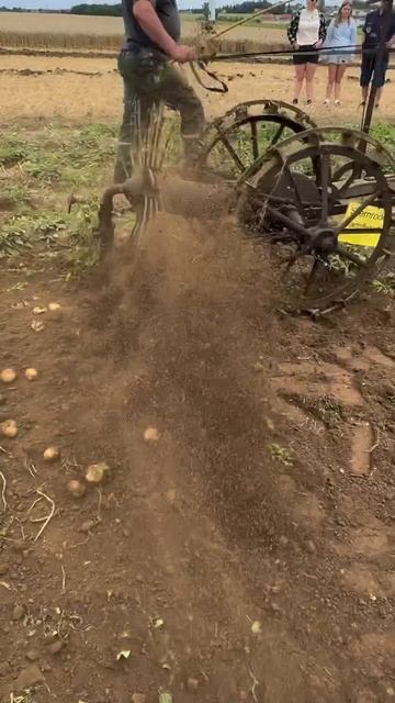 Пора копать смотреть онлайн