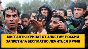 МИГРАНТЫ КРИЧАТ ОТ ЗЛОСТИ!!! РОССИЯ ЗАПРЕТИЛА БЕСПЛАТНО ЛЕЧИТЬСЯ В РФ!!!