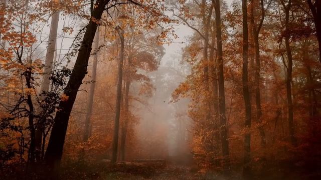 Капризная осень - Расслабляющая осеняя музыка, фоновая фэнтези музыка смотреть онлайн
