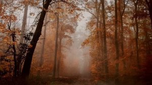 Капризная осень - Расслабляющая осеняя музыка, фоновая фэнтези музыка