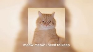 montagem miau (перезалив)