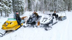 В ТАЙГУ НА ТРЁХ СНЕГОХОДАХ / СМ-002 / СМ-003 / КОРОТКИЙ БУРАН / ЕЗДИМ ВЕСЬ ДЕНЬ.