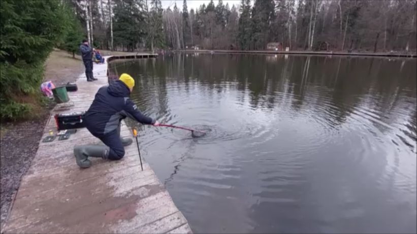 Утро на нижнем водоёме. смотреть онлайн