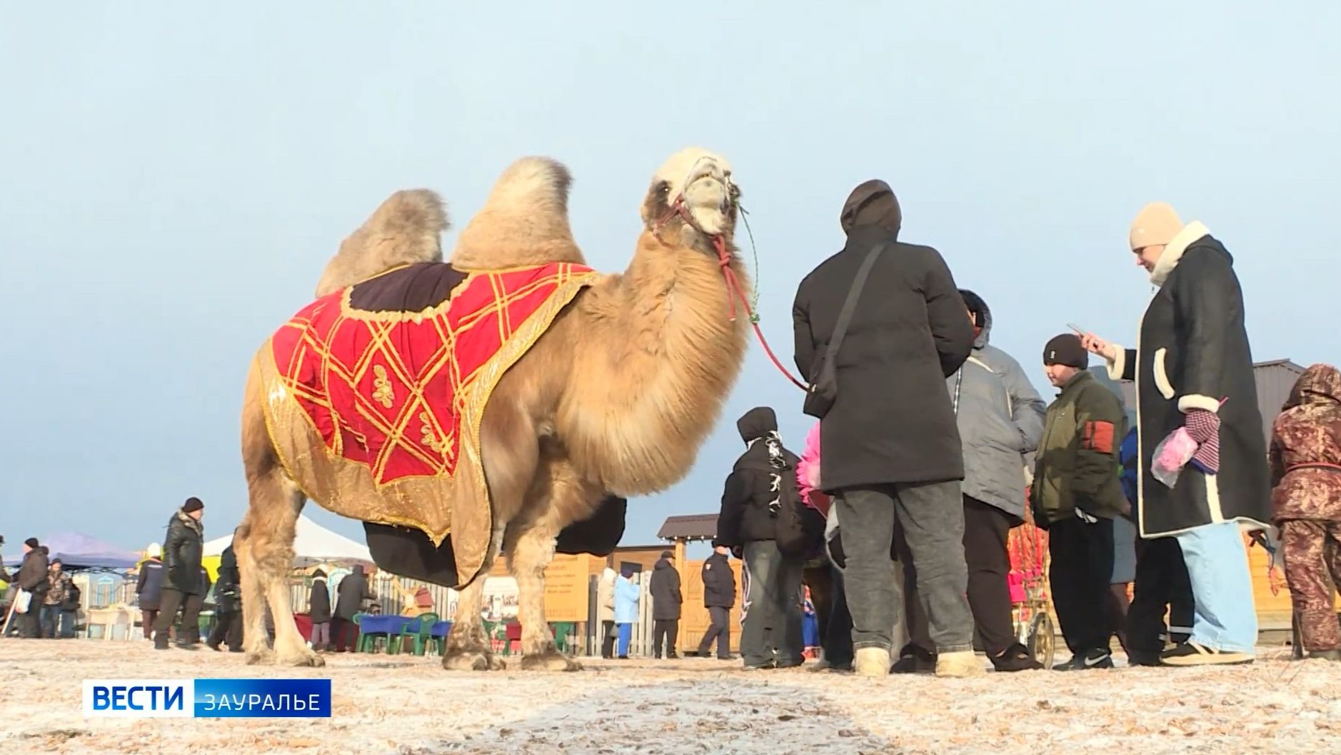 Ярмарка «Михайловский торжок» прошла в селе Рычково смотреть онлайн